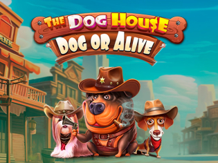Играть без риска в Motor Casino демо версия